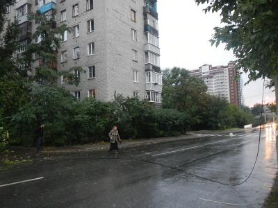 На улице Яхонтова упавшее дерево перегородило двор и оборвало провода