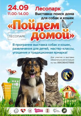 В Рязани вновь пройдёт выставка бездомных животных «Пойдём домой»