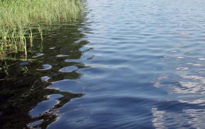 Озеро Уржинское под Рязанью расчистили