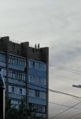Фото: пользователь соцсети «ВКонтакте» Сергей Андреянов