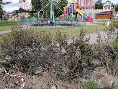 Подрядчик погубил кусты при благоустройстве Лыбедского бульвара в Рязани