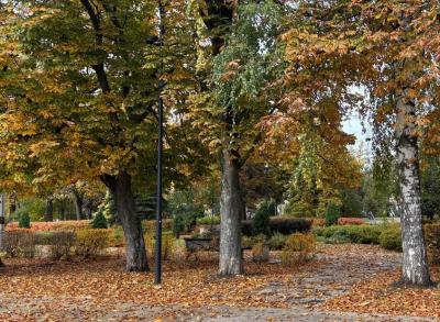 Готовится к выходу снятый под Рязанью фильм «Над вечным покоем»