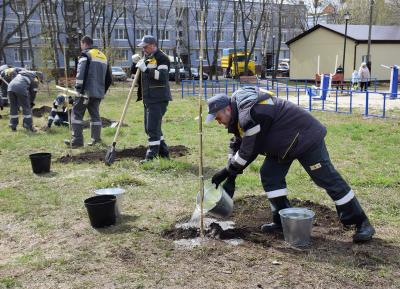Рязанская НПК высадила дубы в Турлатово