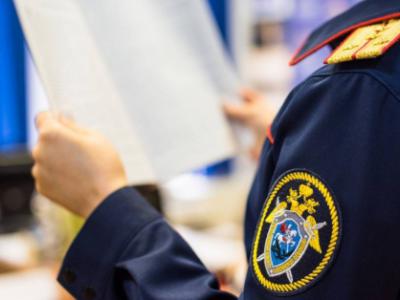 Рязанский СКР возбудил уголовное дело из-за травмирования ребёнка в парке развлечений
