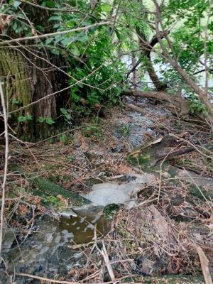 В Рязанской области загрязняют ручей Жрака и реку Шача