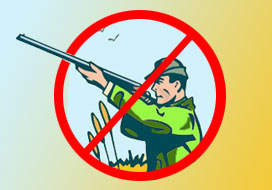 На левобережье Оки в Рязанской области хотят продлить запрет на охоту