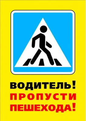 В Рязани привлечены к ответственности шесть водителей, не пропустивших пешеходов