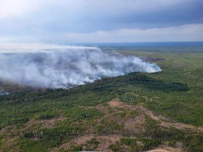 Лесные пожары в Рязанской области прошли более 20 тысяч гектаров