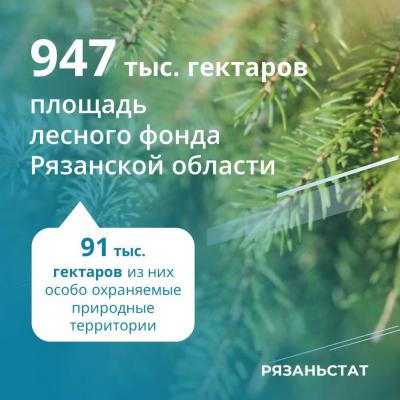 На восстановление рязанских лесов в 2022 году потратили 115 миллионов рублей