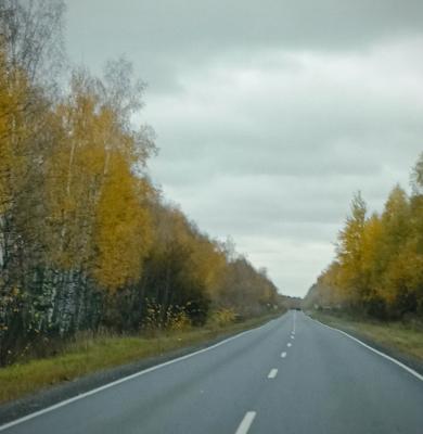 В группе «Алиса» рассказали, что песня «Трасса Е-95» была написана в Рязани