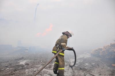 В Рязанской области сгорели пилорама, баня и сарай