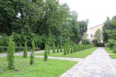 Пешеходные зоны Верхнего городского сада Рязани выложат тротуарной плиткой