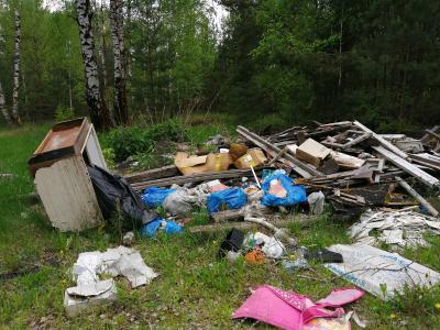 Журналисты посетили касимовский лес, ставший предметом мусорного скандала