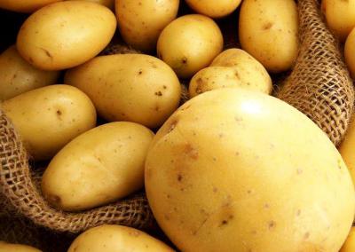 Рязанским аграриям стало сложно сбывать картофель