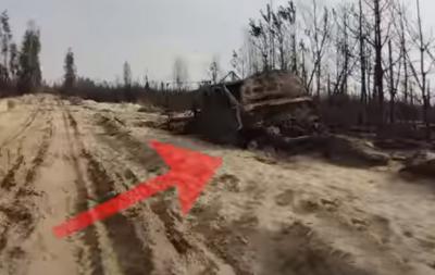 Опубликовано видео с последствиями лесного пожара около рязанского села Голованово