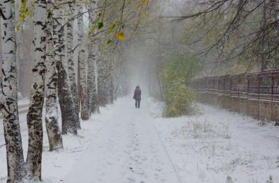 Рязанскую область может зацепить снежный циклон