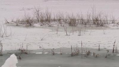 Зимний паводок зафиксирован в Рязанской области впервые за последние 42 года