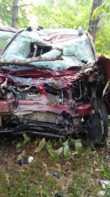 Под Ермишью Renault слетел в кювет и врезался в дерево, водитель погиб