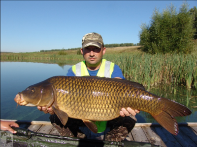 Под Рязанью выловили 16-килограммового карпа