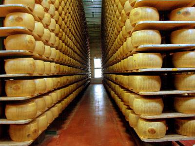 В Рязанской области планируют увеличить производство твёрдых сыров