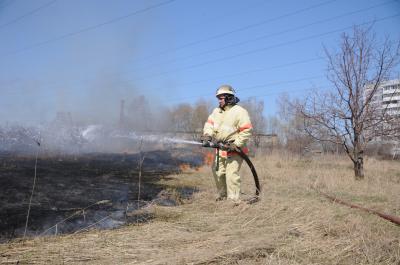 За неделю пожарные подразделения Рязанской области совершили 362 выезда на тушение неконтролируемо горящей травы