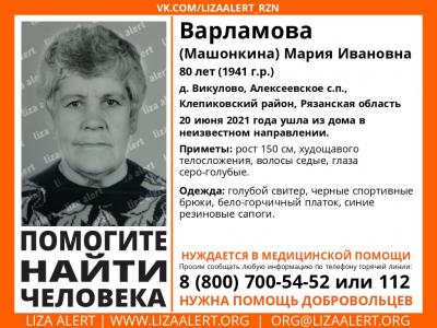 В Клепиковском районе пропала пенсионерка