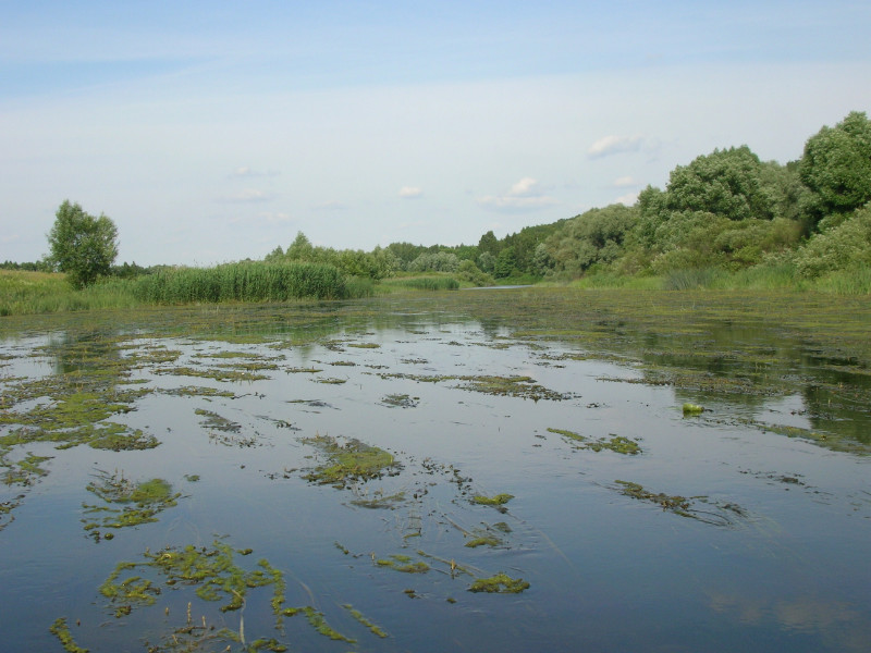 Река пара