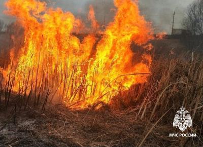 За прошедший уик-энд в Рязанской области потушили восемь загораний сухой травы