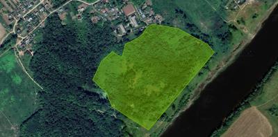 В Рязанской области хотят выставить на торги усадьбу Никитинских