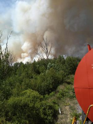 У посёлка Свеженькая на границе Рязанской области засняли горящий лес