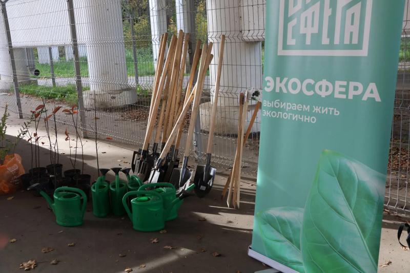 В Лесопарке Рязани высадили черёмуху