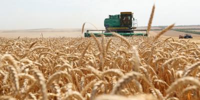 Рязанские хлеборобы намолотили более миллиона тонн зерна