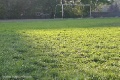 Подсеяли наконец-то траву, новенький газон светиться в лучах солнца.  title=