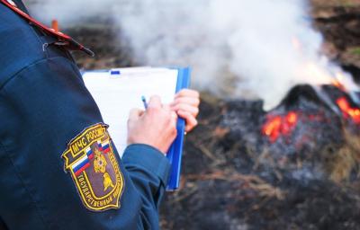 В Рязанской области снизилось количество пожаров
