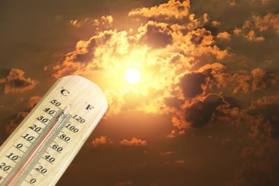 Рязанцам спрогнозировали 40-градусную жару летом на ближайшее десятилетие