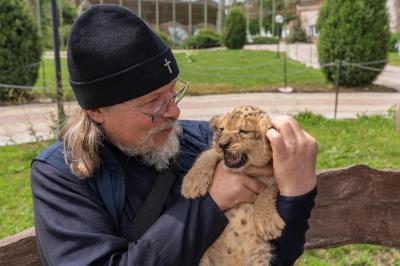 Рязанский митрополит Марк погладил новорожденных львят в Ряжском зоопарке