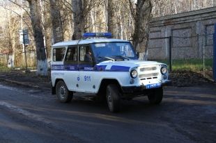 180 нетрезвых граждан задержали за сутки рязанские полицейские