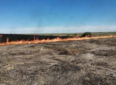 В Рязанской области сохранится высокий уровень пожарной опасности