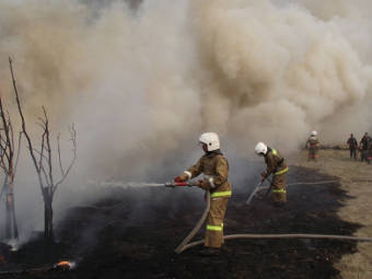 Огнеборцы Рязанщины проверили навыки тушения лесных пожаров