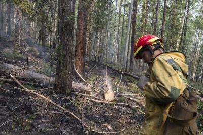 Рязанской области рекомендовано ввести особый противопожарный режим