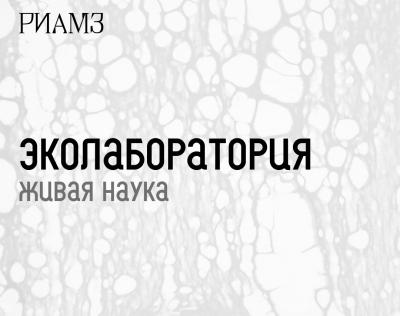 В новом музее Рязанского кремля появится Эколаборатория