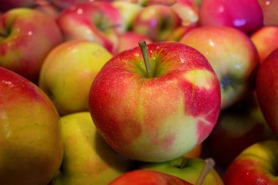 В Рязани уничтожили потенциально небезопасные яблоки