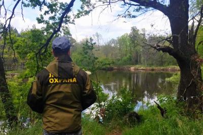 Павел Малков: «Важно оперативно реагировать на возможные риски возникновения лесных пожаров»