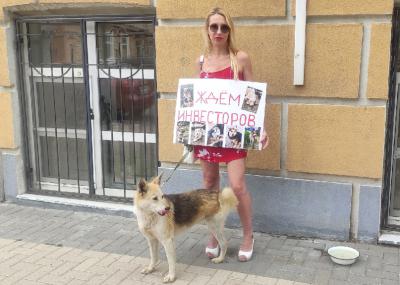 Зоозащитники хотят помочь мэру Рязани найти инвесторов для возведения приюта животным