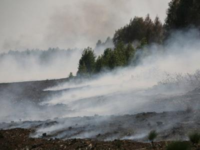Рязанская область готовится предупреждать торфяные пожары