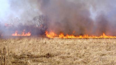 Пителинские огнеборцы потушили гектар горящей травы