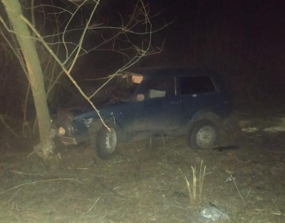 В Михайловском районе пьяный водитель «Нивы» врезался в дерево