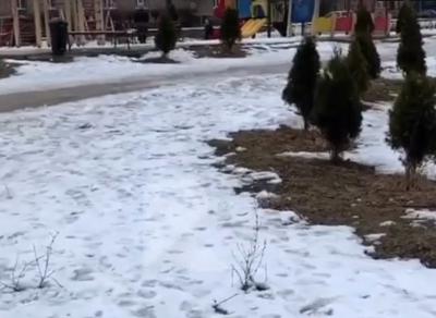 Рязанцы пожаловались на парк в Дашково-Песочне