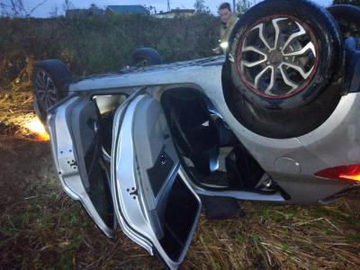 Близ Рязани Renault Megane сбил столб и слетел в кювет, водитель погиб