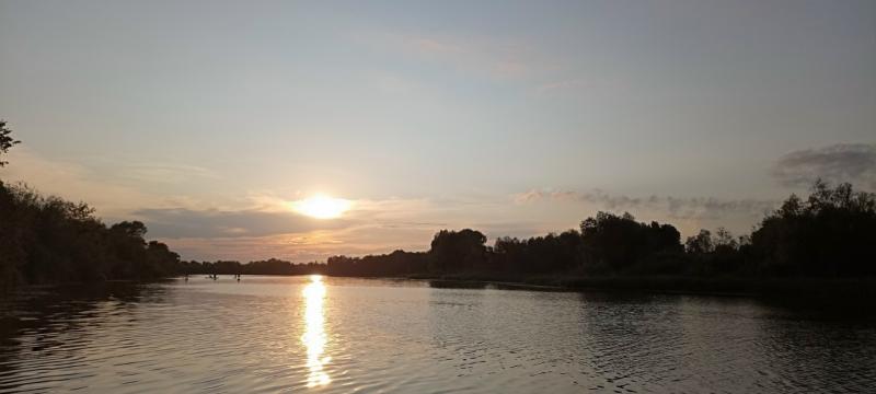 В Рязани разработают проект для расчистки русла реки Солотча